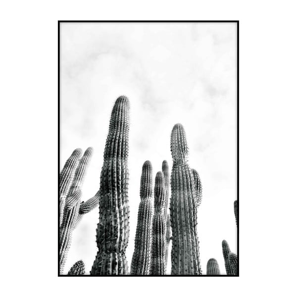 Cactus No.2 plakát, 40 x 30 cm - Imagioo