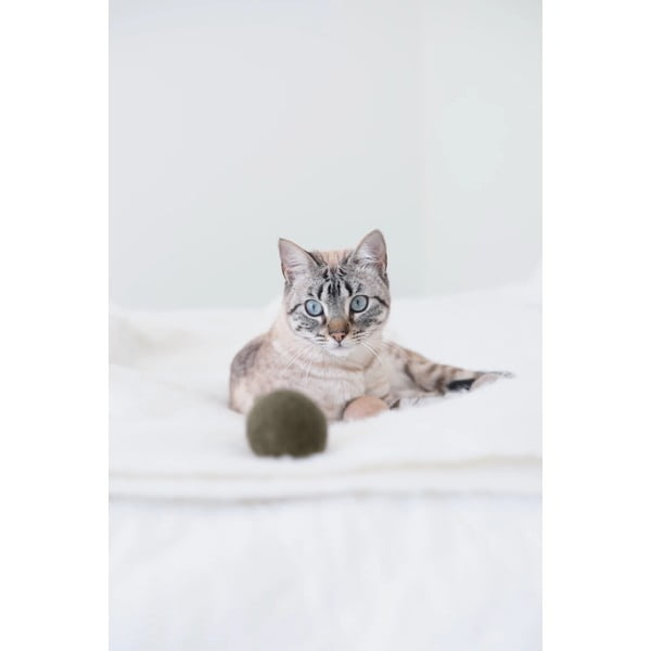 Macskajáték készlet 3 db-os Globo Nougat – MiaCara-image-3