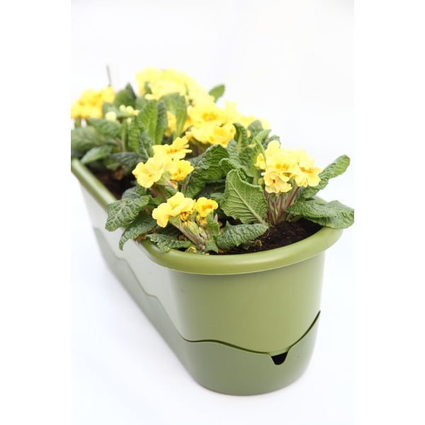 Mareta zöld önöntöző virágláda, hosszúság 60 cm - Plastia-image-2