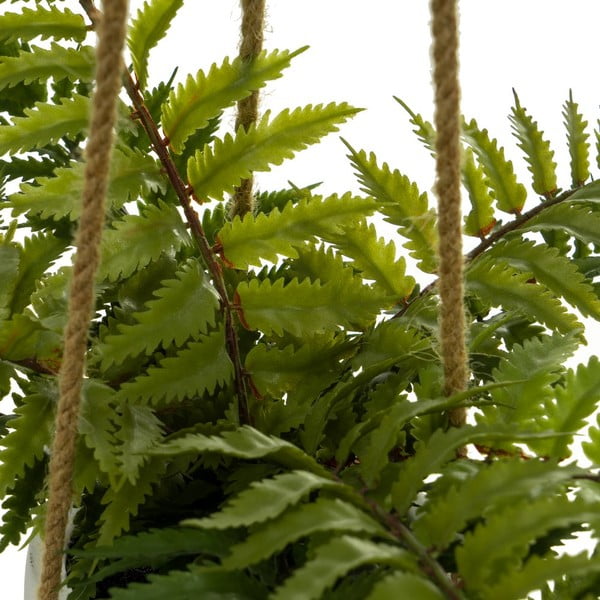 Műnövény (magasság 24 cm) – Casa Selección-image-1