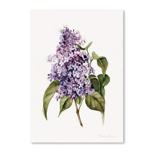 Lilac Branch by Shealeen Louise 30 x 42 cm-es plakát
