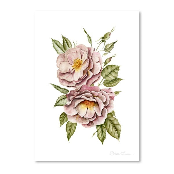 Matangi Roses by Shealeen Louise 30 x 42 cm-es plakát