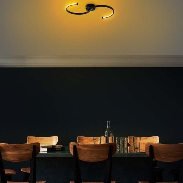 Fekete LED mennyezeti lámpa 25x10 cm Es – Opviq lights-image-4