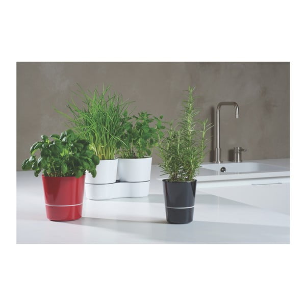 Hydro Herbs szürke fűszernövénytartó kaspó - Mepal-image-3