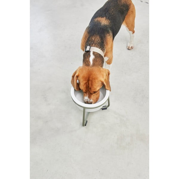 Porcelán tálka állvánnyal kutyáknak ø 20 cm Pranzo Grolive M – MiaCara-image-4