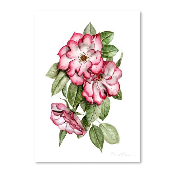 Portland Roses by Shealeen Louise 30 x 42 cm-es plakát