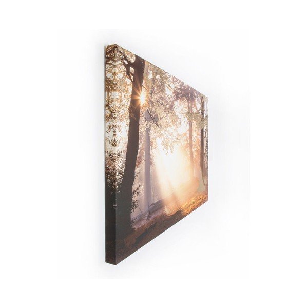 Metallic Forest fali kép, 80 x 60 cm - Graham & Brown-image-2