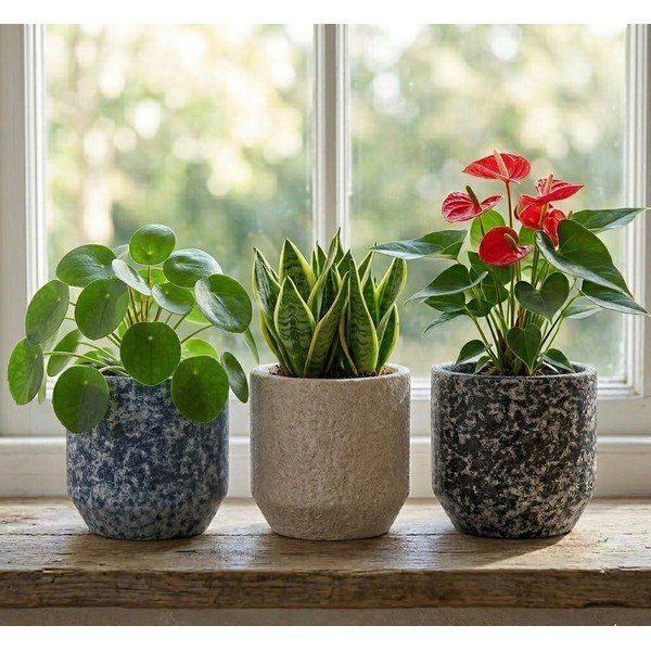 Kerámia kézzel készített kaspó ø 14 cm Almada – Ego Dekor-image-1