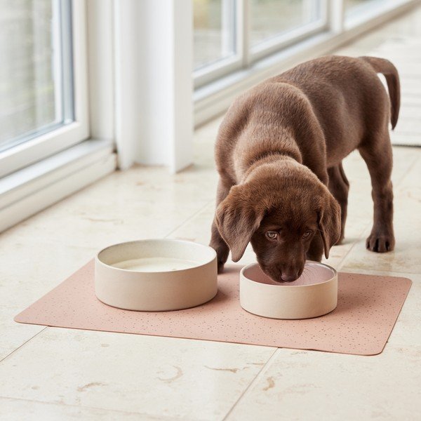 Kerámia tálka kutyáknak ø 13 cm Sia – OYOY Living Design-image-2