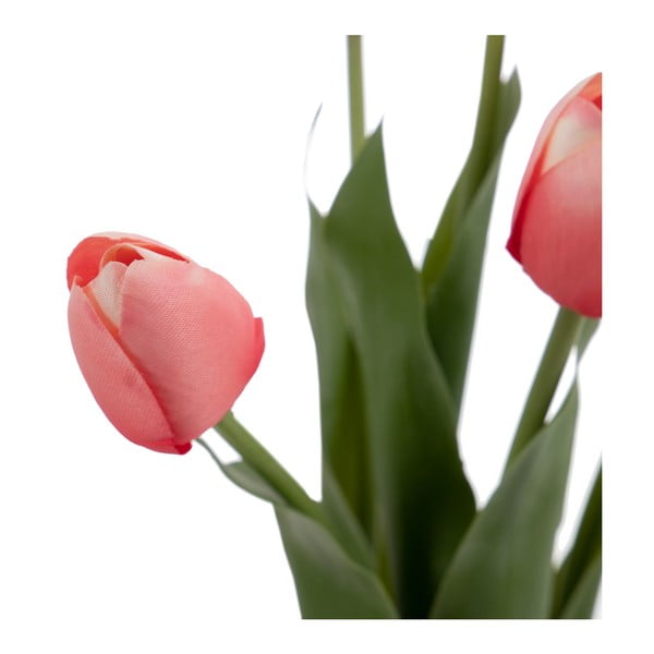 Művirág (magasság 31 cm) Tulips – Ixia-image-2