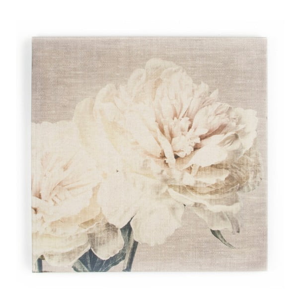 Cream Petals kép, 60 x 60 cm - Graham & Brown