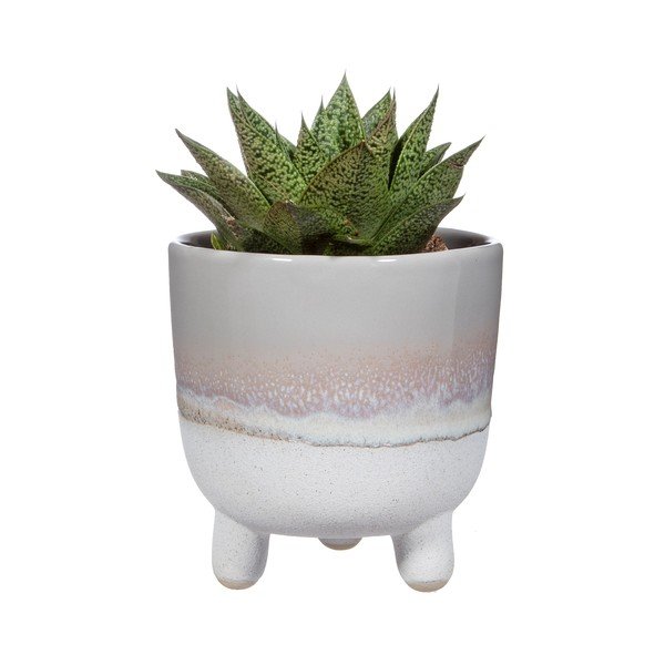 Bohemian Home Mojave szürke virágcserép, ø 11,7 cm - Sass & Belle-image-2