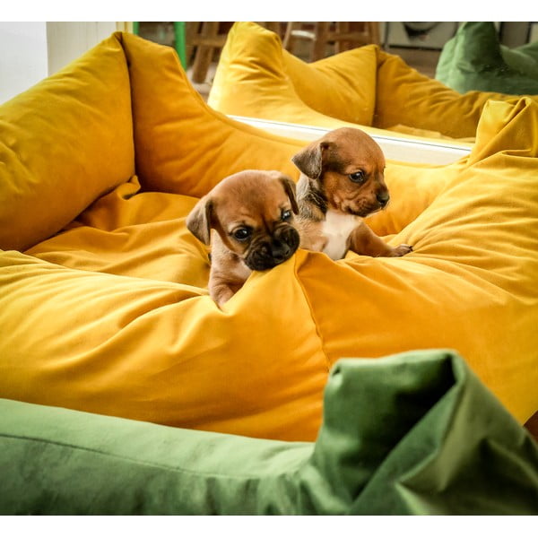 Sárga fekhely kutyáknak 80x67 cm – Madison-image-1