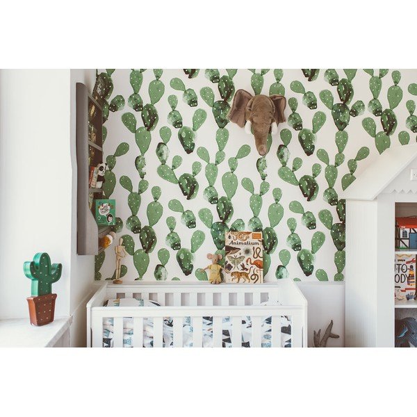 Cactus tapéta, 50 x 280 cm - Dekornik-image-1