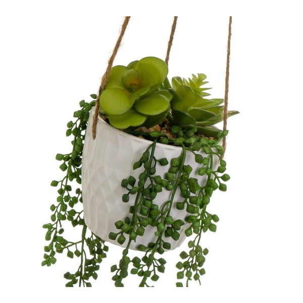 Műnövény (magasság 40 cm) – Casa Selección-image-2