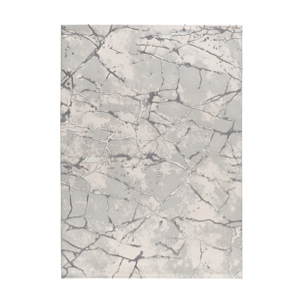 Szürkésbézs szőnyeg 115x170 cm Oris – Universal