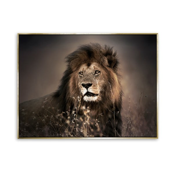 Golden Lion vászonkép, 115 x 87 cm - Styler