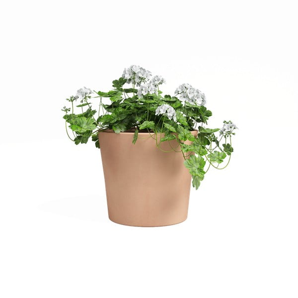 Terrakotta virágcserép ø 24 cm Manuel – Artevasi-image-1