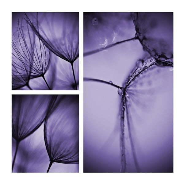 Harmo lila üvegezett kép, 30 x 30 cm - 3D Art