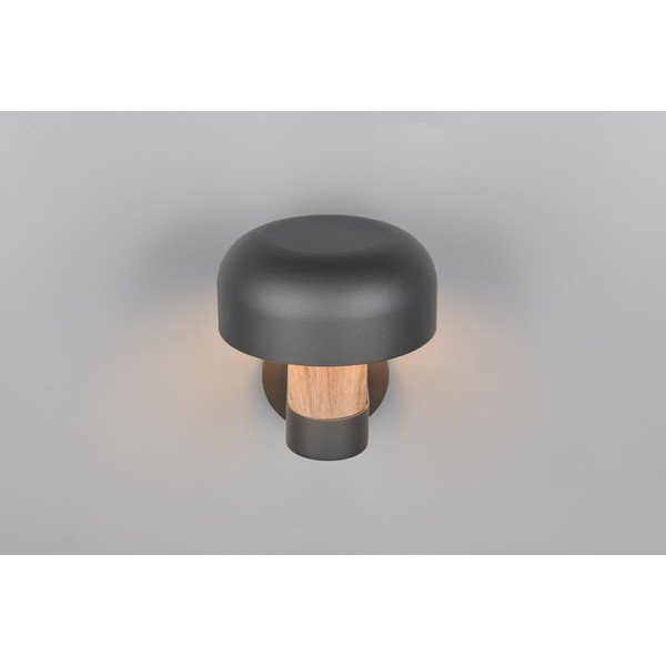 Fali kültéri lámpa (magasság 24,5 cm) Fraser – Trio-image-2