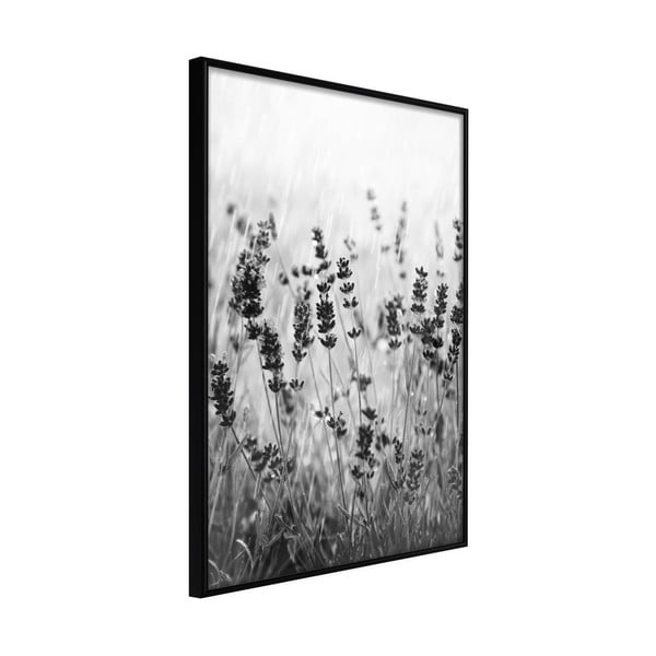 Shadow of Meadow poszter keretben, 30 x 45 cm - Artgeist