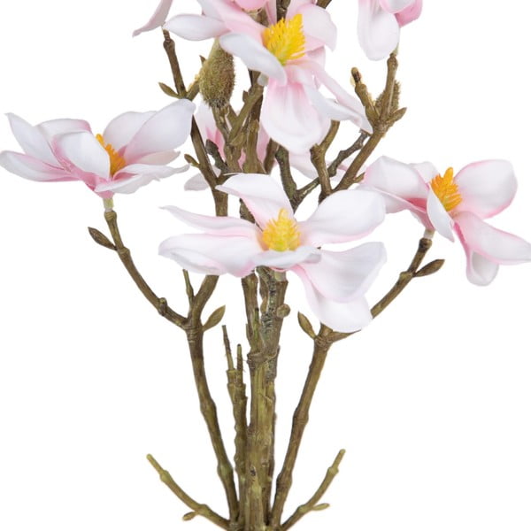 Művirág (magasság 41 cm) Magnolia – Ixia-image-1