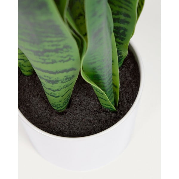 Műnövény (magasság 55 cm) Sansevieria – Kave Home-image-4