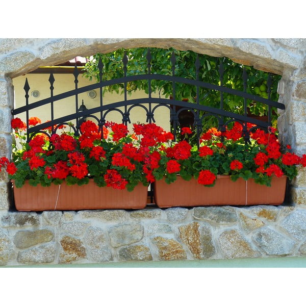 Siesta barna önöntöző virágtartó, hosszúság 80 cm - Plastia-image-1