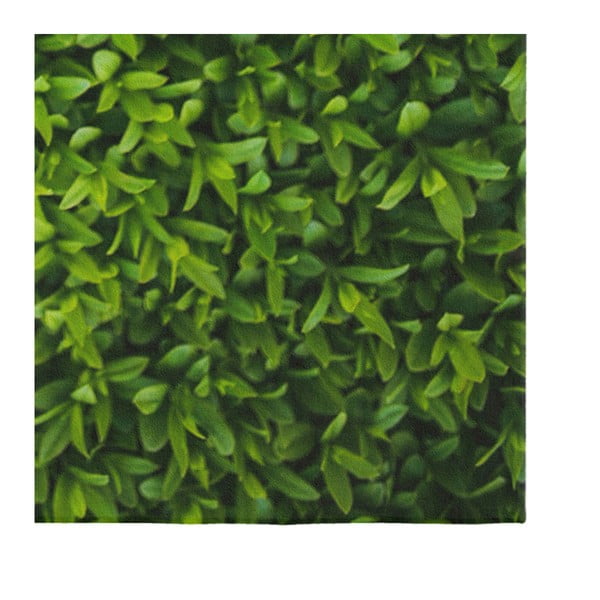 Suzzo Grass zöld szőnyeg, 140 x 220 cm - Oyo home-image-3