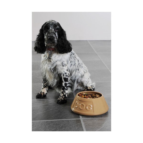 Pet Cane Dog agyagkerámia kutyatál, ø 21 cm - Mason Cash-image-2