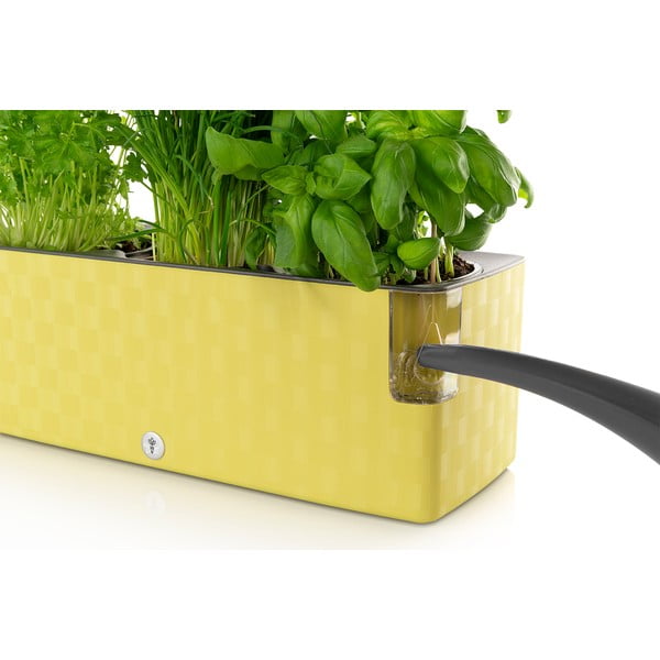 Cobble Trio zöld önöntözős kaspó, 40 x 14 cm - Flower Lover-image-1