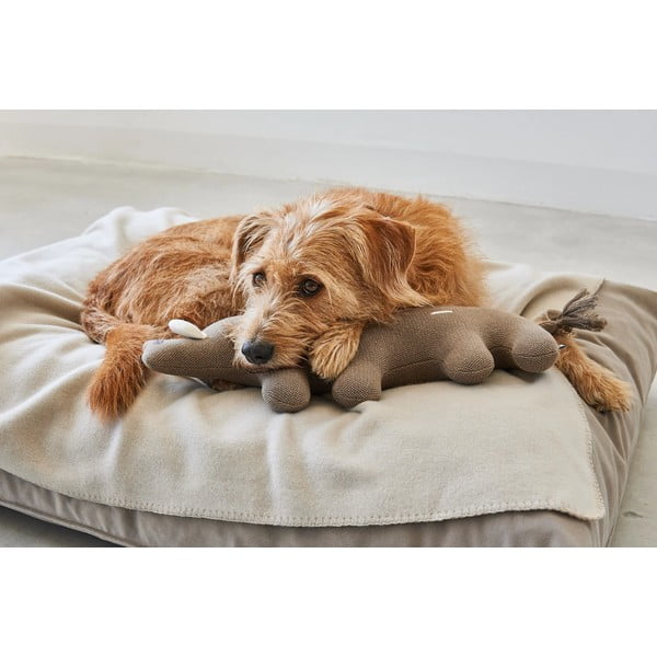 Kutyajáték Bosco Boar – MiaCara-image-3