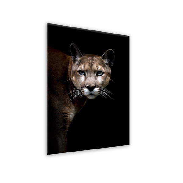 Glas Animals Cougar kép, 70 x 100 cm - Styler-image-1
