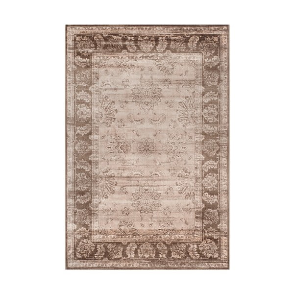 Darcy szőnyeg, 122 x 183 cm - Safavieh