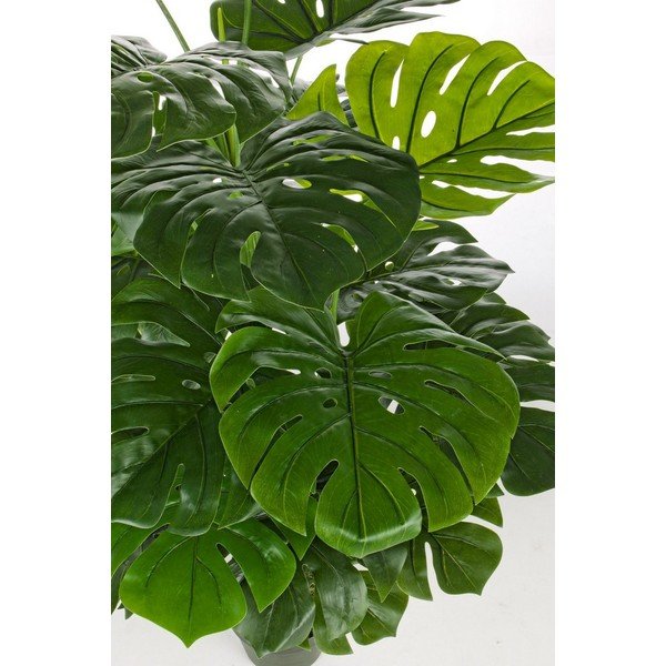 Monstera műnövény (magasság 120 cm) Philodendron – Bizzotto-image-2