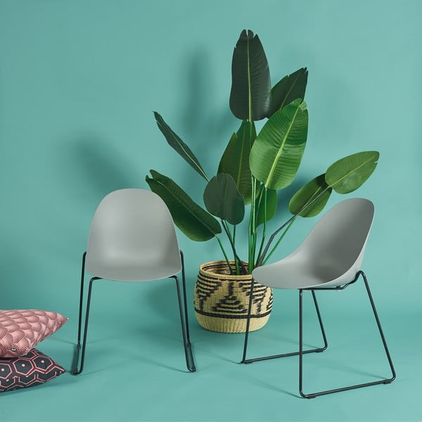 Viva 2 db szürke étkezőszék fekete talppal - Bonami Selection-image-1