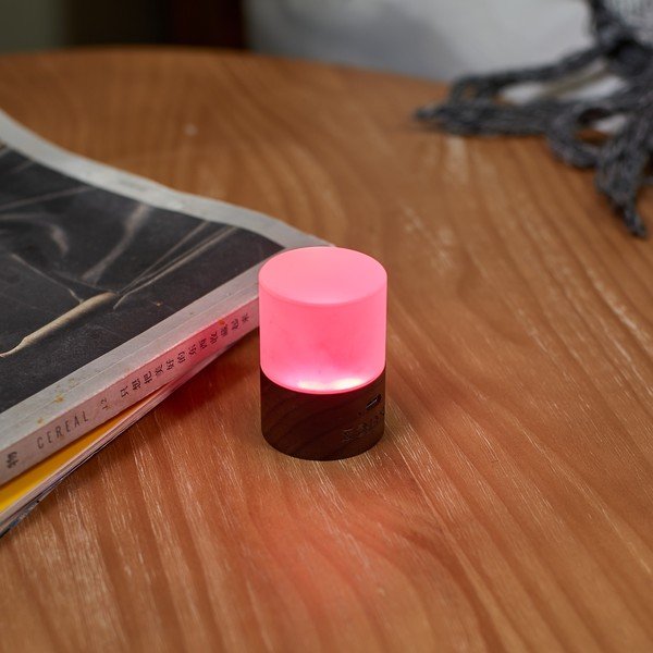 Sötétbarna LED dimmelhető asztali lámpa üveg búrával (magasság 6 cm) Lemelia – Gingko-image-1