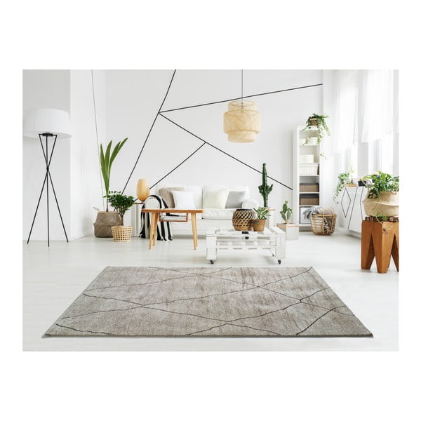 Hydra Beige bézs szőnyeg, 160 x 230 cm - Universal-image-1