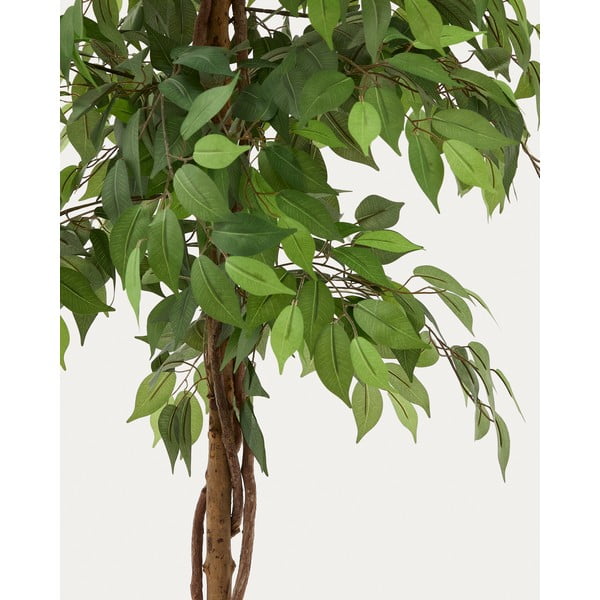 Fikusz műnövény (magasság 180 cm) Ficus – Kave Home-image-1