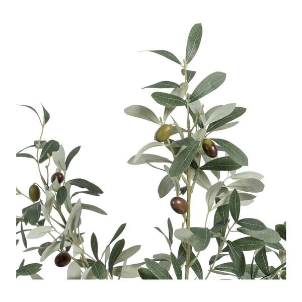 Olajfa műnövény (magasság 78 cm) Olive Tree – Ixia-image-1