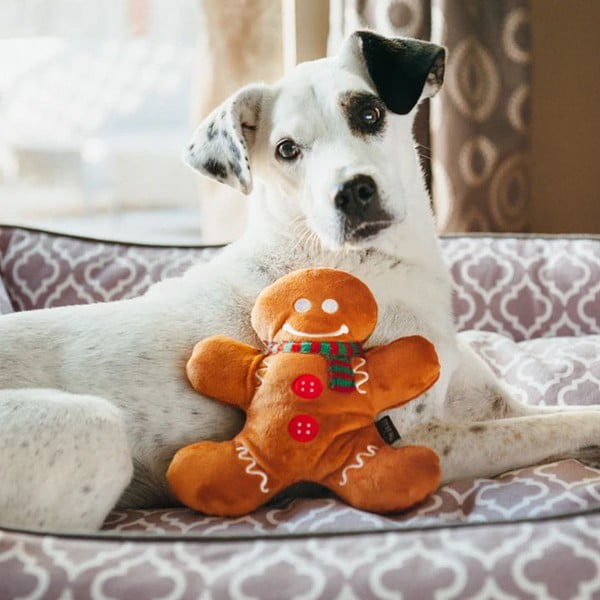 Játék kutyáknak Gingerbread Man - P.L.A.Y.-image-1