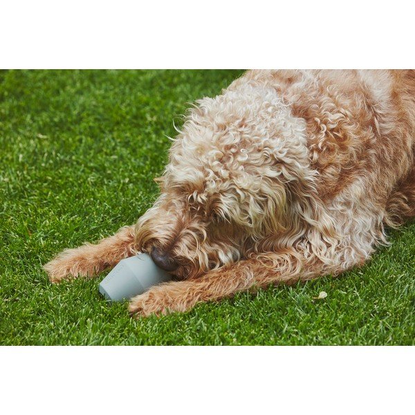 Kutyajáték Cono Slate – MiaCara-image-3