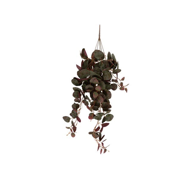 Művirág (magasság 79 cm) Ceropegia – PT LIVING