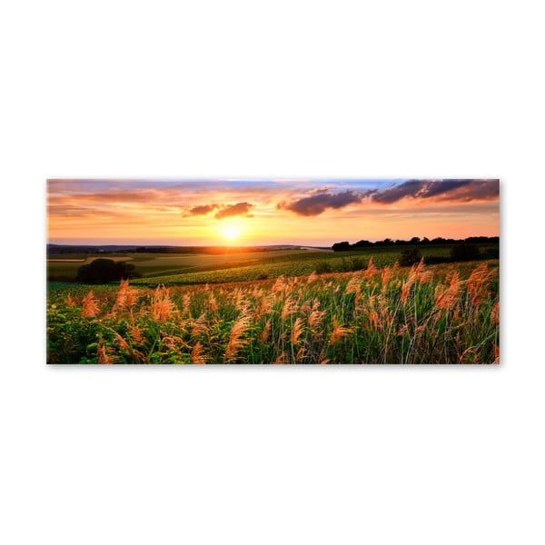 Glas Nature Sunset Me kép, 80 x 120 cm - Styler