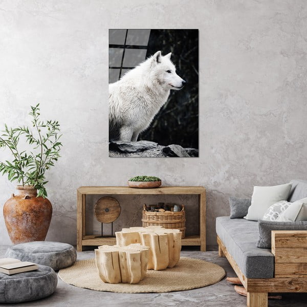 Üveg kép 70x100 cm White Wolf – Wallity-image-3