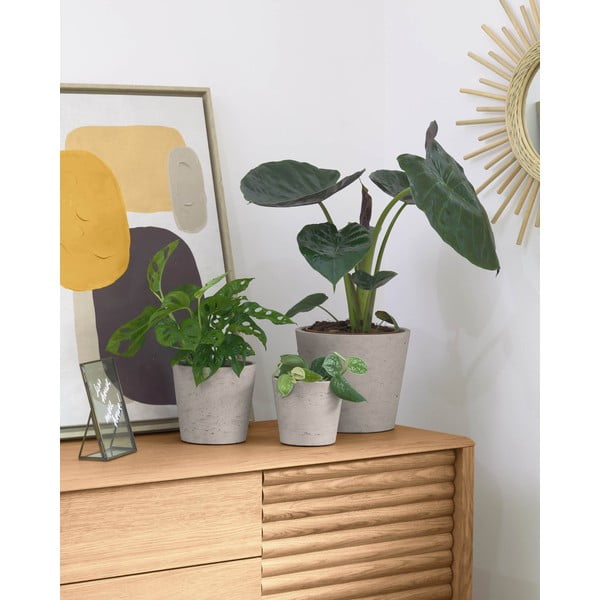 Beton virágcserép készlet 3 db-os ø 23,5 cm Low – Kave Home-image-1