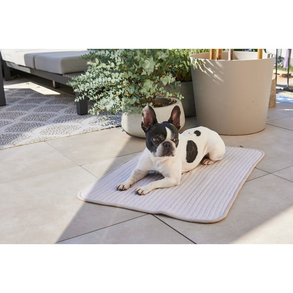 Szürke pamut takaró kutyáknak 90x120 cm Onda Pebble L – MiaCara-image-1