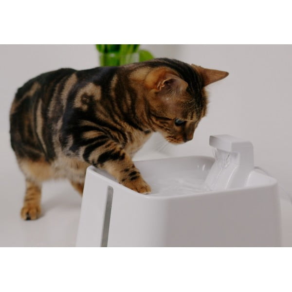 Ivókút kisállatoknak Epic Pet Zen - Plaček Pet Products-image-1