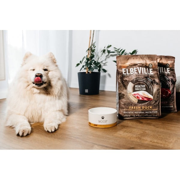 Kerámia tálka kutyáknak ø 16 cm Dog Fantasy WOOF – Plaček Pet Products-image-1