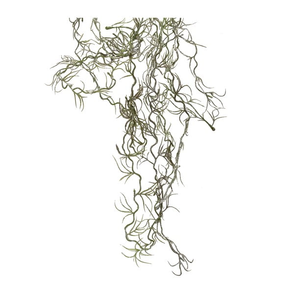 Művirág Lichen – Côté Table-image-1